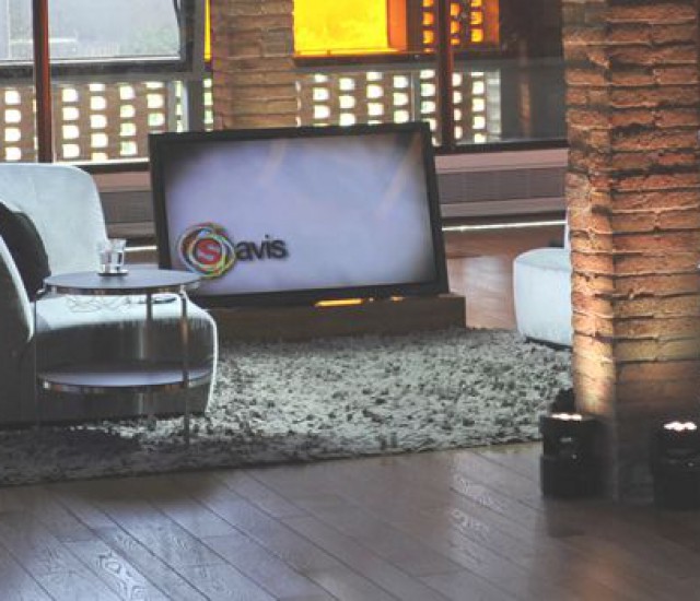 (S)avis, finalista als premis Zapping