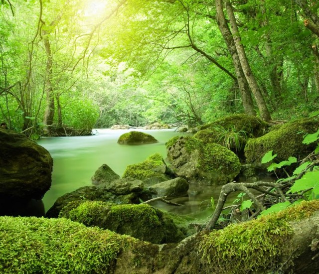 El repte: gestionar la comunicació de la Responsabilitat Social Corporativa