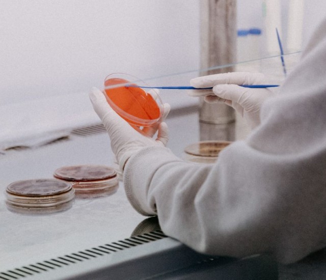 Els efectes de la COVID-19 en la comunicació del sector de la salut